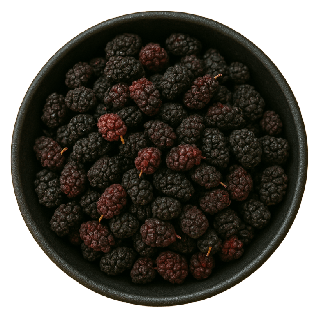 LA Herb - Vente Fruits secs/déshydratés - Mûres Noires Entières (Morus Nigra)1