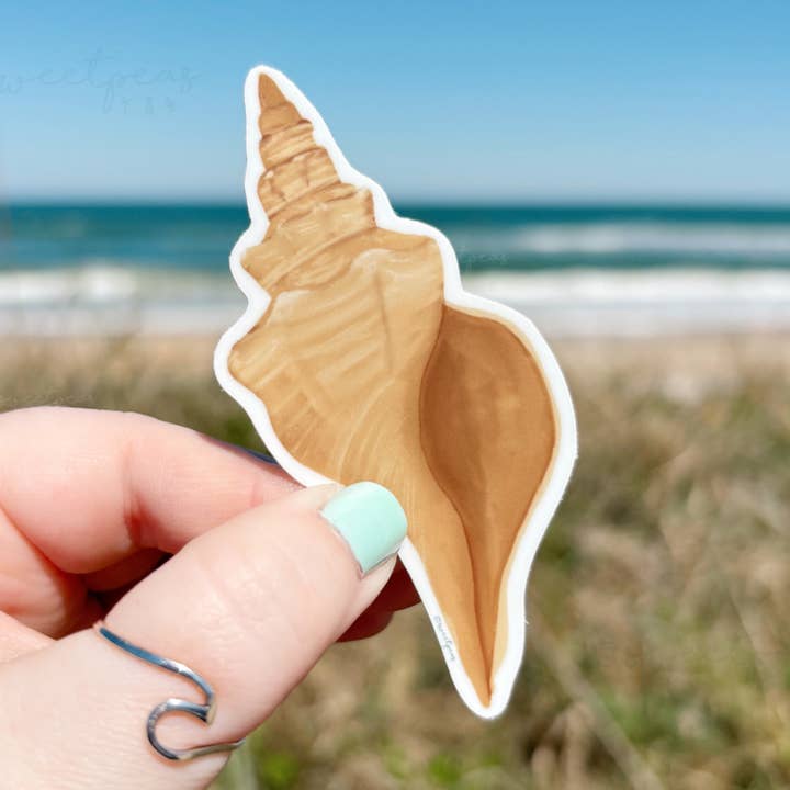 Horse Conch Shell Sticker, Beach Sticker for wholesale by 25 Sweetpeas