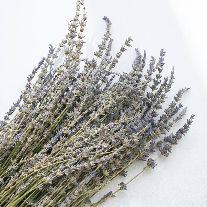 Floral Fields – wholesale Torkade/pressade blommor – Torkad lavendel, Natual Blue Bunch, 85g