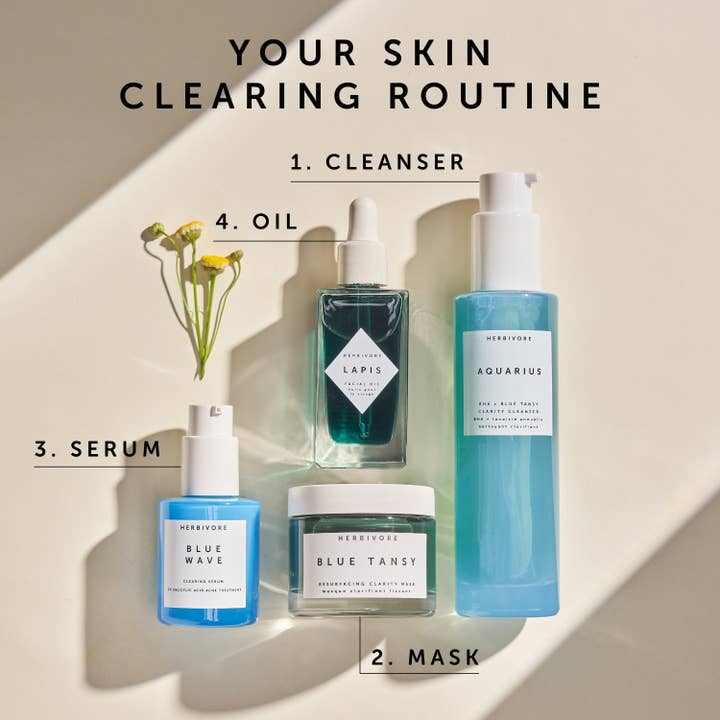 Herbivore Botanicals - Wholesale Skincare Face Mask - BLUE TANSY Invisible Pores Resurfacing Clarity Mask5