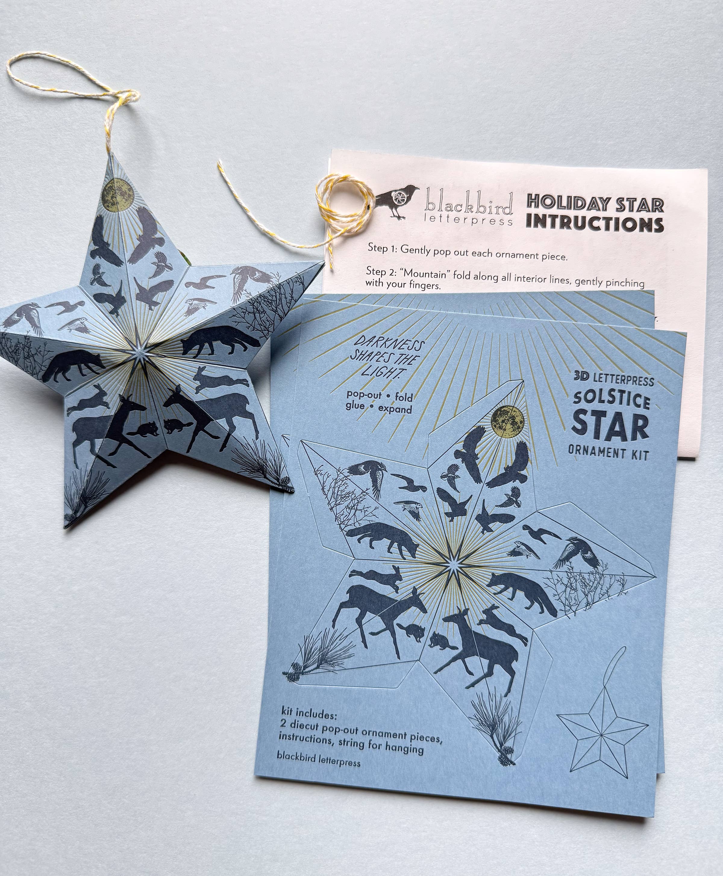 Blackbird Letterpress - Wholesale DIY Craft Kit - Holiday Solstice star DIY ornament kit3