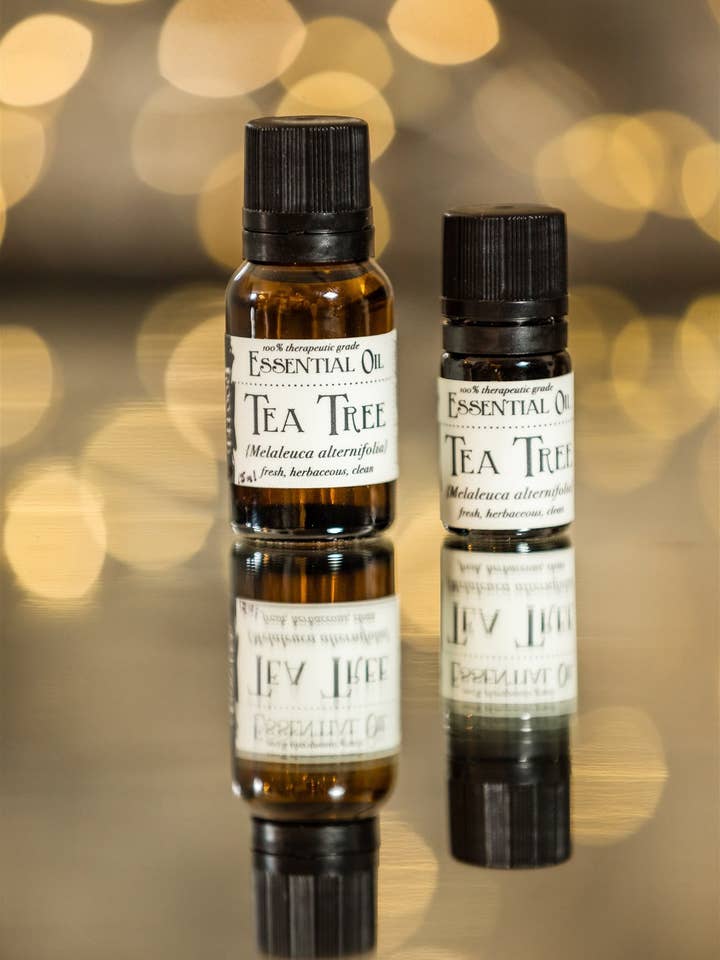 Tea Tree Essential Oil for wholesale by Rooted Apothecary