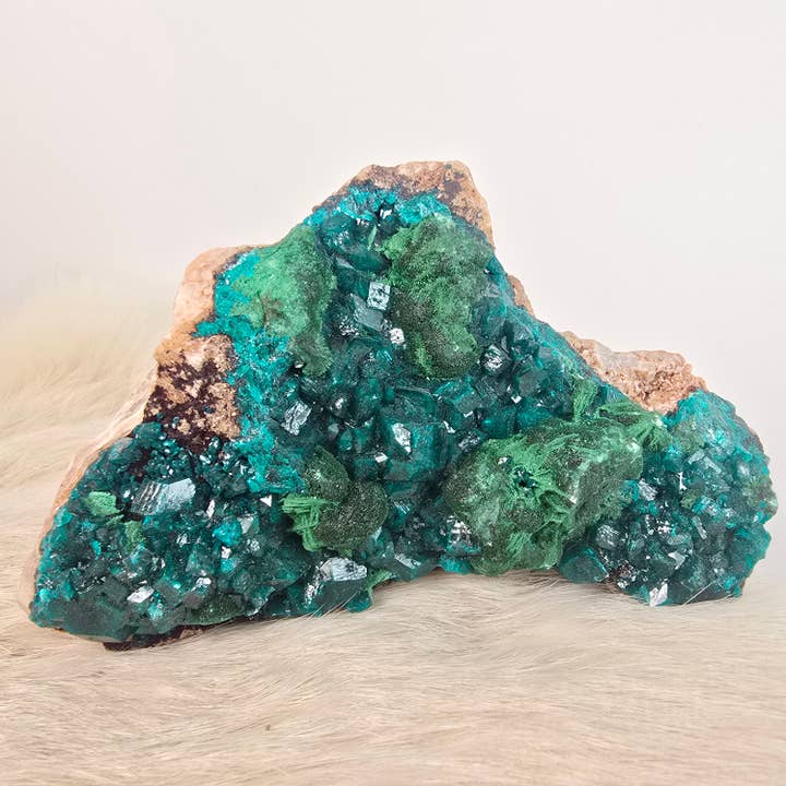 5" Dioptase Specimen ~ Rough Crystals ~ Copper Minerals for wholesale by Aquamarine Daydream Wholesale