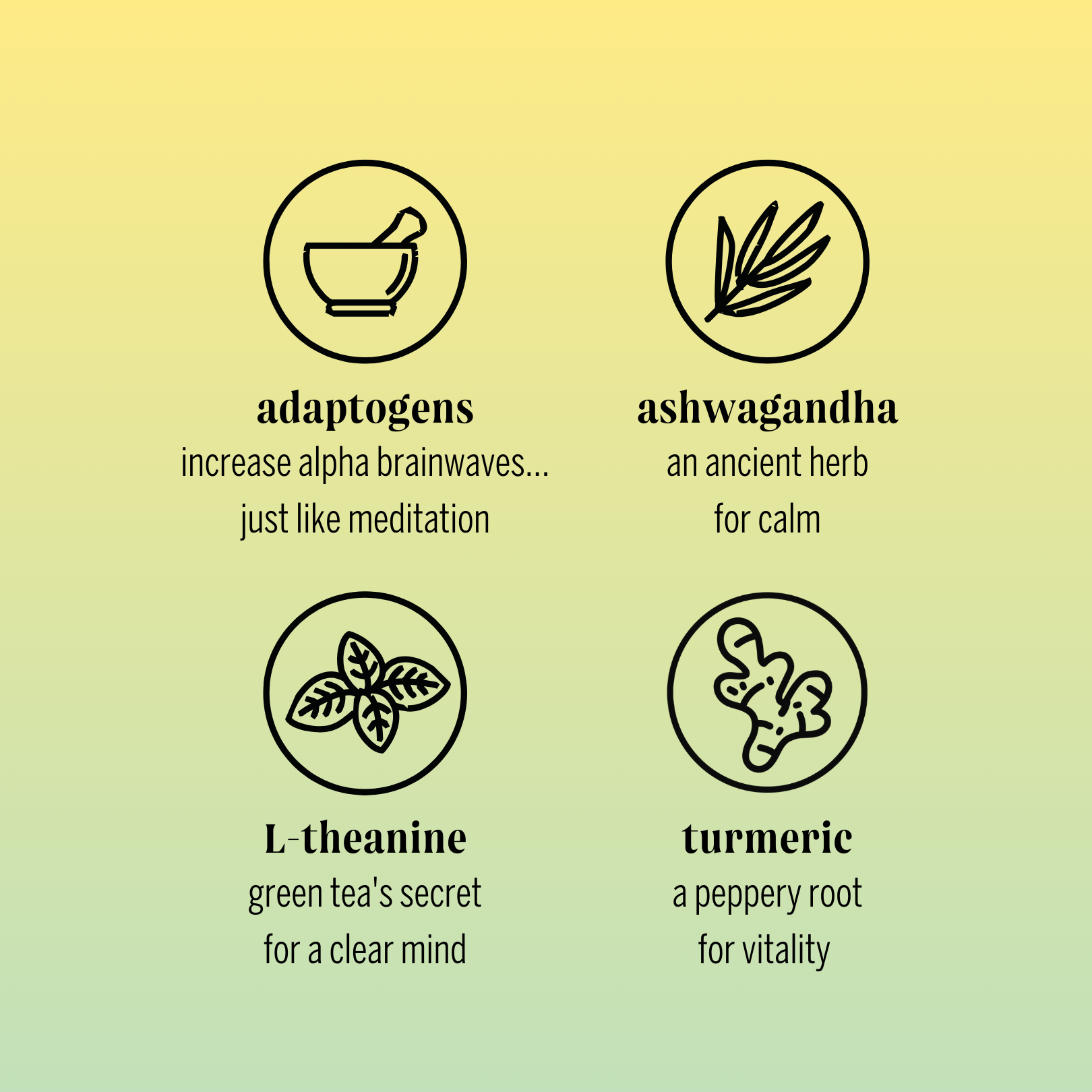 Moment - Wholesale Soda/Carbonated Drink - Sparkling Lemon Turmeric 12- pack Botanical Water2