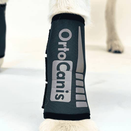 Bracelet pour chiens Ortocanis pour la vente par Ortocanis