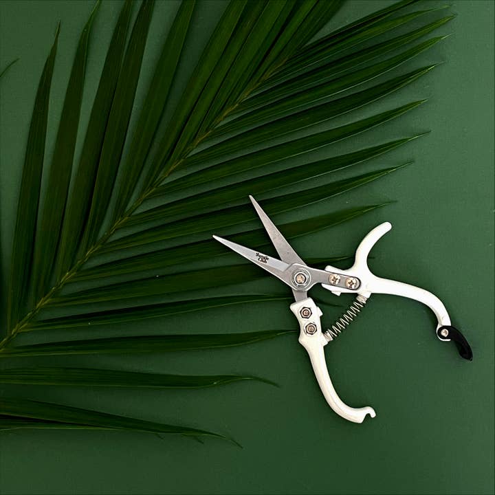 Jungle Club - Wholesale Garden Tool - Pruning Shears | White