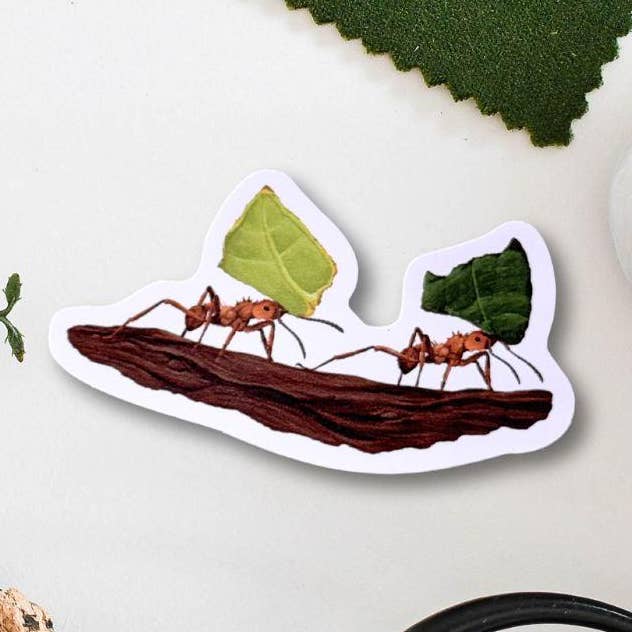 Ferne Creative – wholesale Sticker – Leafcutter ants Vinyl Sticker0