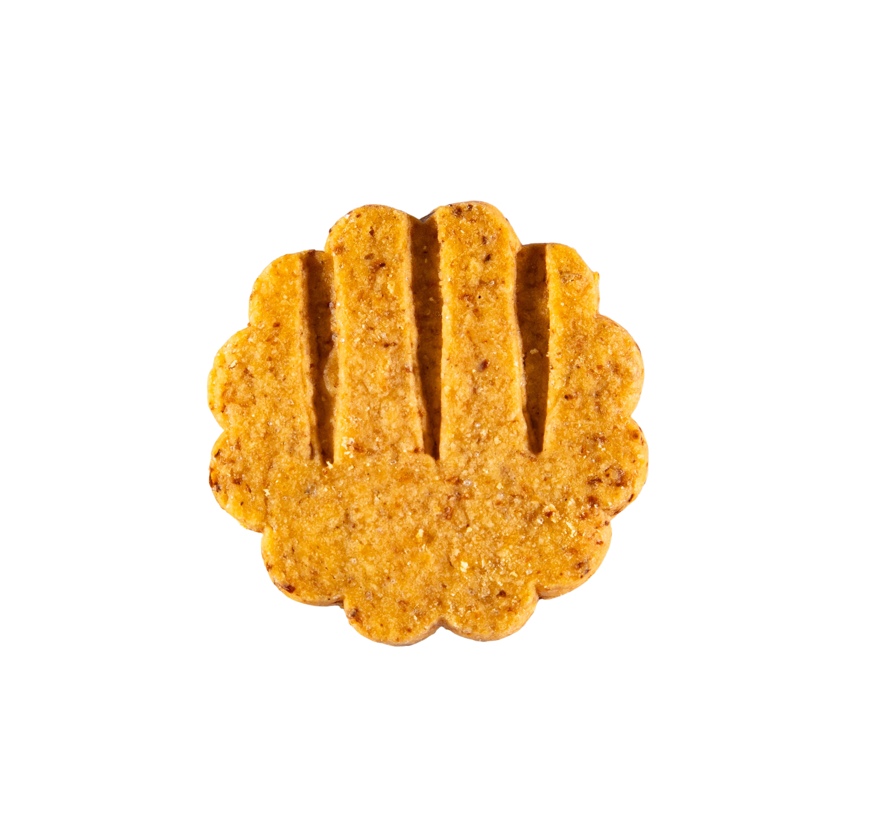 LA SABLESIENNE - Wholesale Cookie - Onion & Paprika Shortbread Crisps Box2