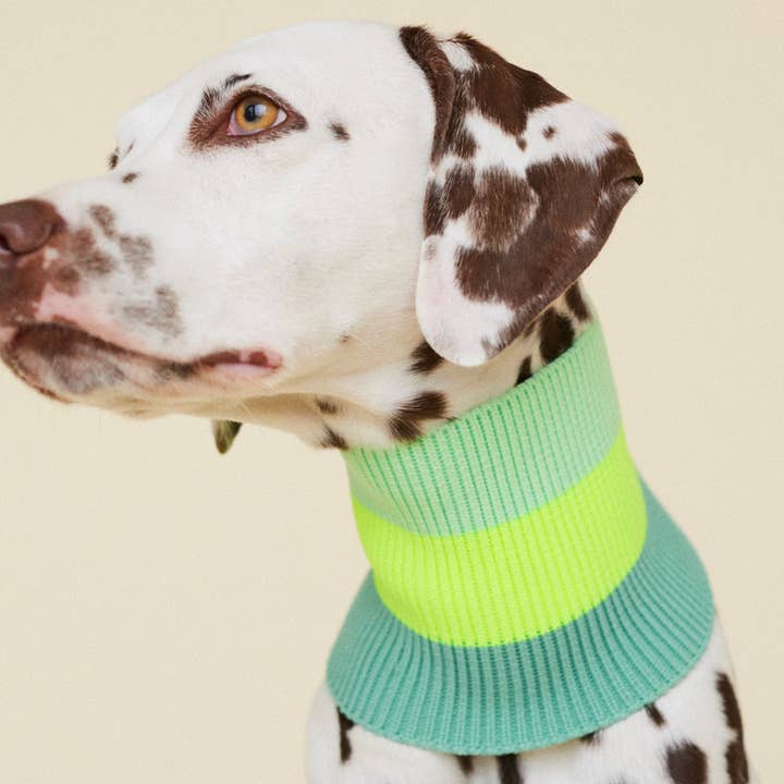 THE GLOW LOOP 2.0 (Neon Matcha) for wholesale by lumiies - high visibility