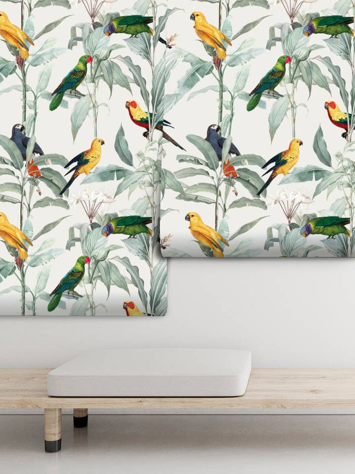 Il Brasile ovviamente per la vendita all'ingrosso da parte di PIPAPEL