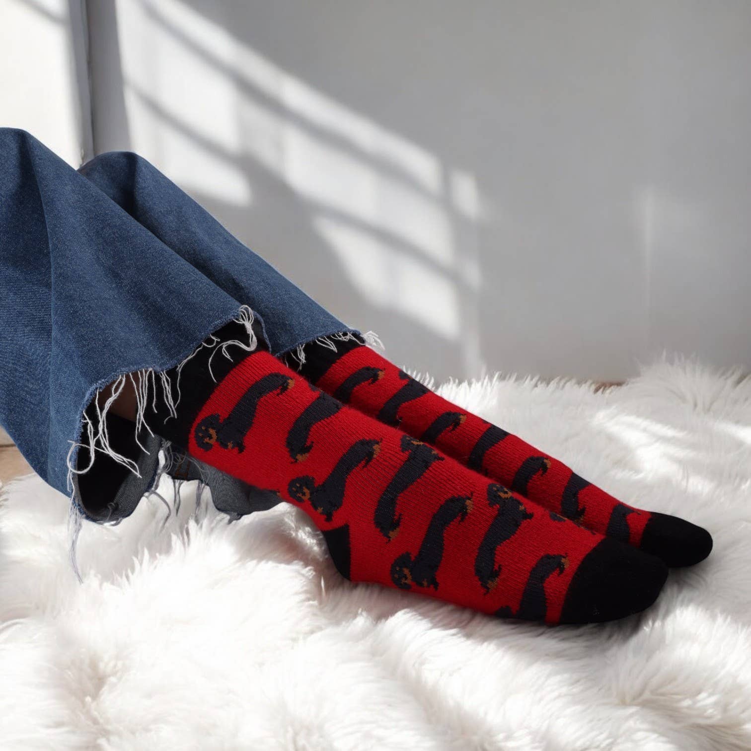 Jess & Lou - Wholesale Socks - Women's - Dachshunds Ribbed Socks4