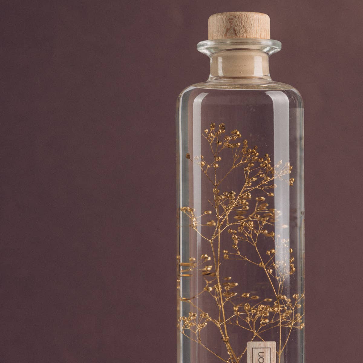 Theophile Berthon - Vente Plante - L'Herbarium Gypsophile Or - plante immergée3