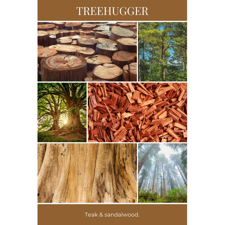 Eco Candle Company – wholesale Travel candles – The MANdle TREEHUGGER | teak, sandalwood2