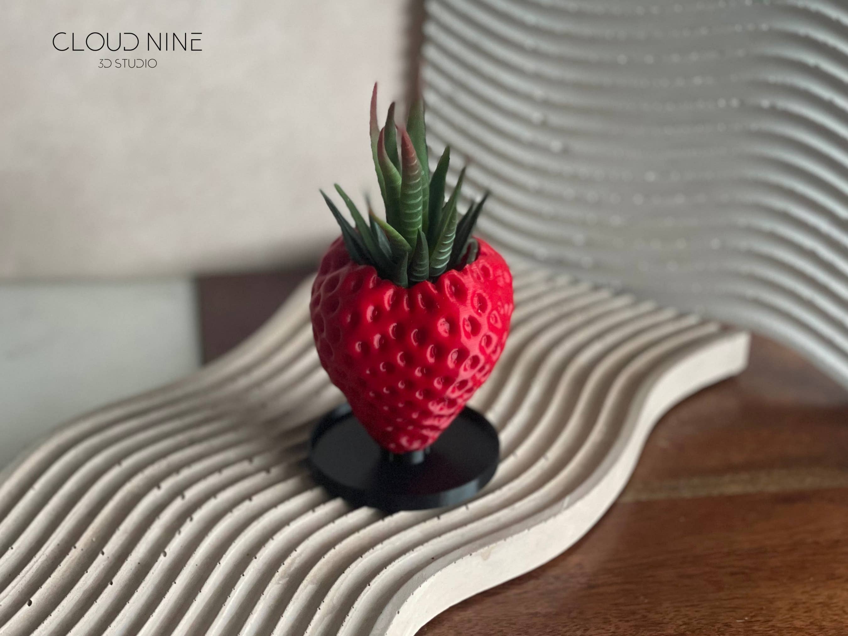 Cloud Nine 3d Studio - Wholesale Plant Pot - Strawberry Planter, Strawberry Pot, Plant Pot2