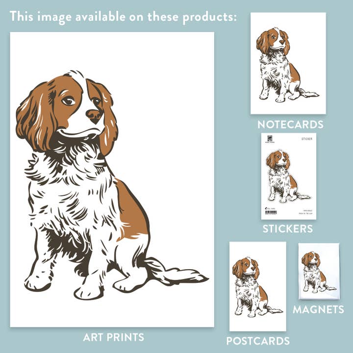 Rigel Paper - Vente Autocollant - Autocollant RAN-62 Cavalier King Charles Spaniel1
