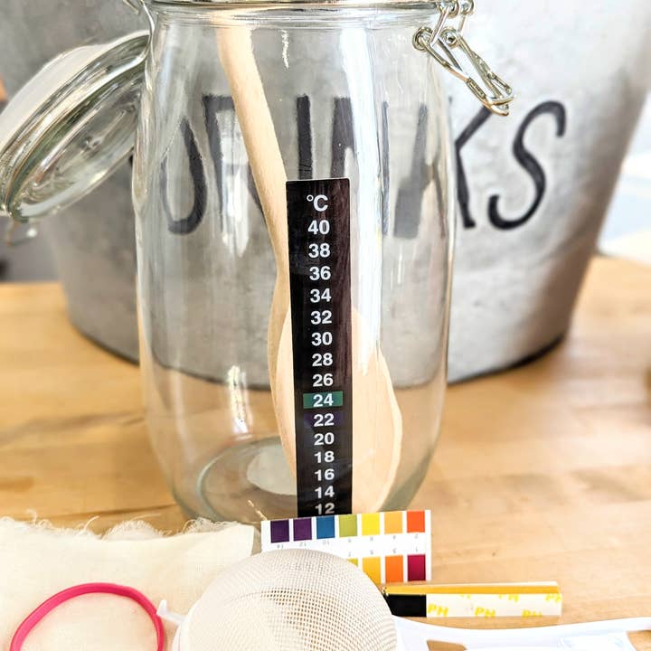 PiQi - Wholesale DIY food kit - The Complete Water Kefir Fermentation Kit