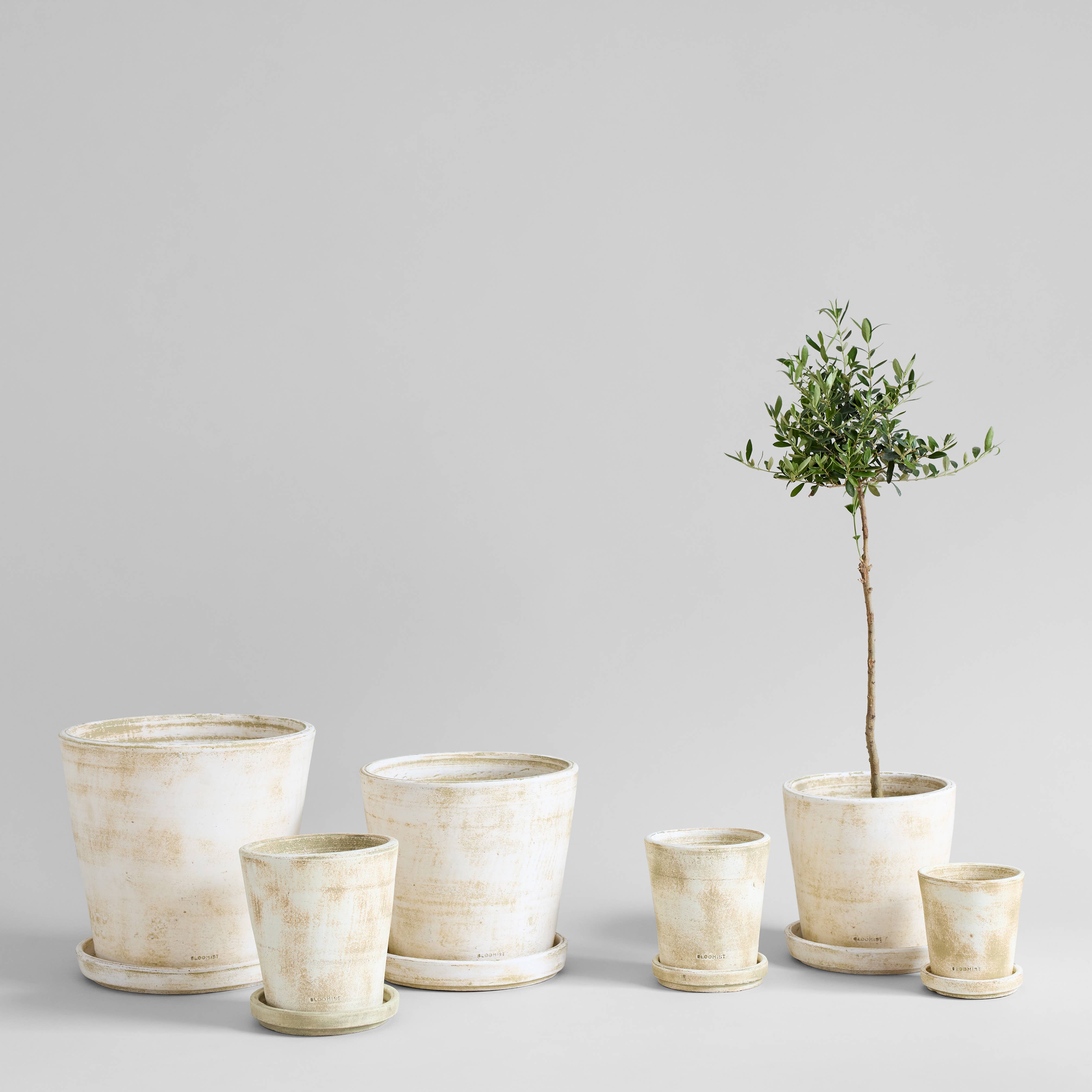 Bloomist - Wholesale Plant Pot - Basic Planter, White Patina15