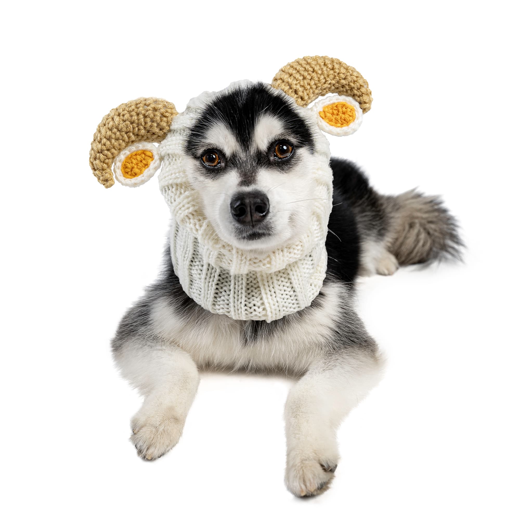 Zoo Snoods - Wholesale Pet Snood - Dog - Goat Ram Dog Snood0