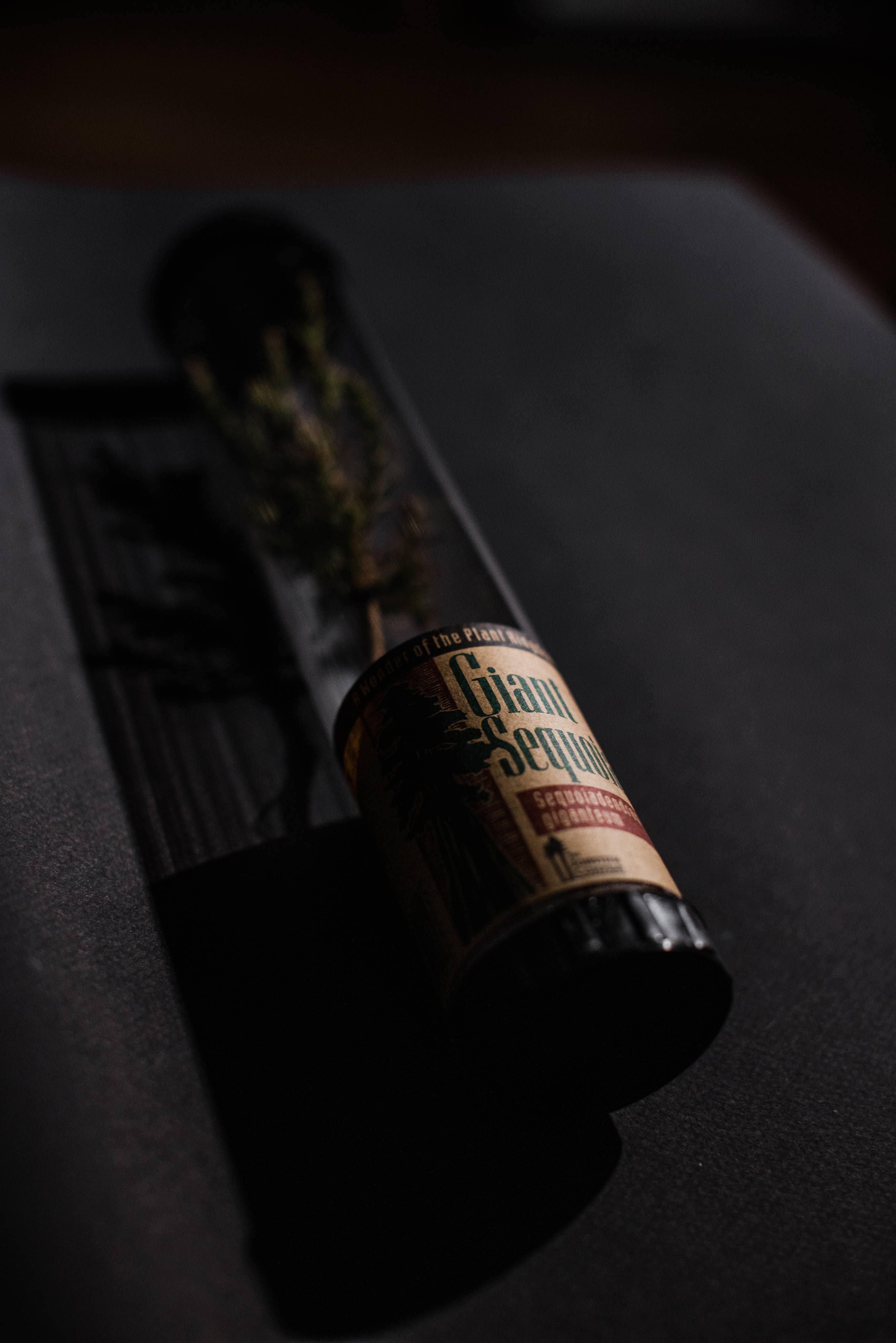 The Jonsteen Company - Wholesale Live Plant - Giant Sequoia | Packaged Live Tree6