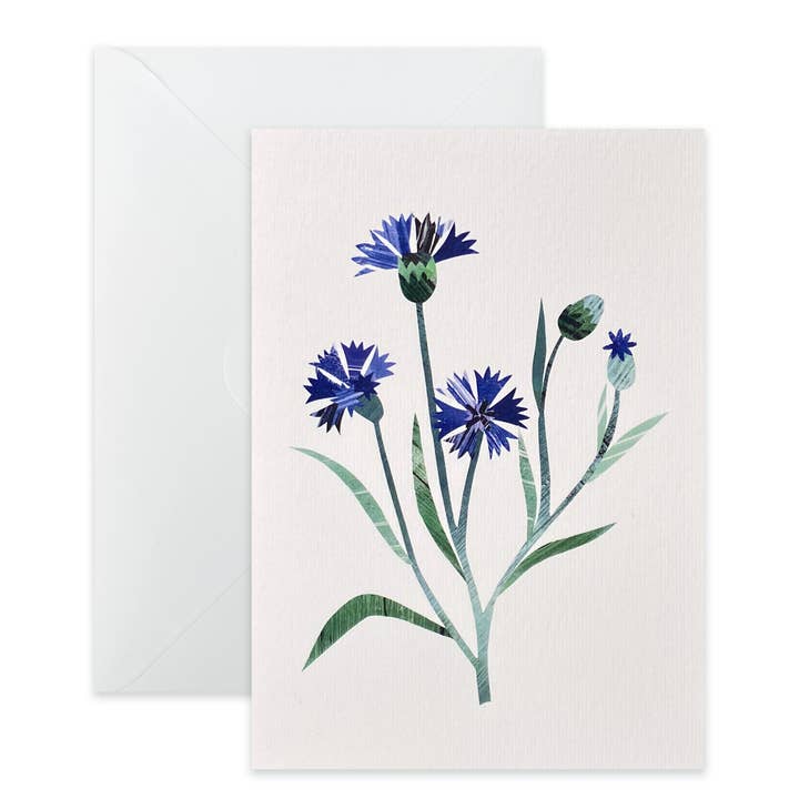 Korenbloemkaart voor wholesale door Bianca Williams Design