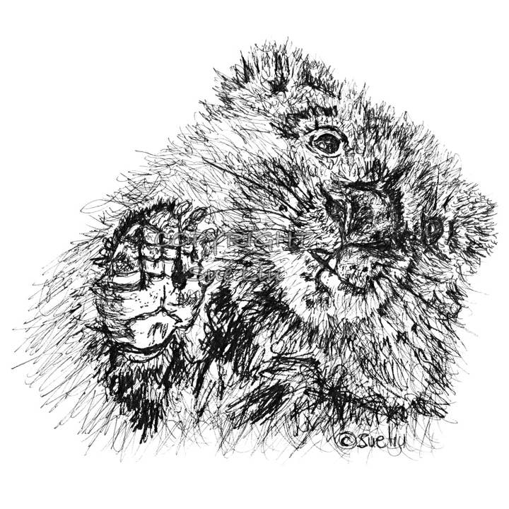 Wombat - Willie the Wombat for wholesale by @wildcardsue