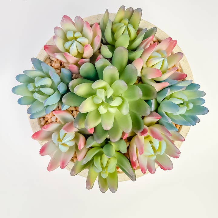 HomeRoots – wholesale Artificial plant – 6" Green And Pink Artificial Succulent Plant In Round Beige Pot3