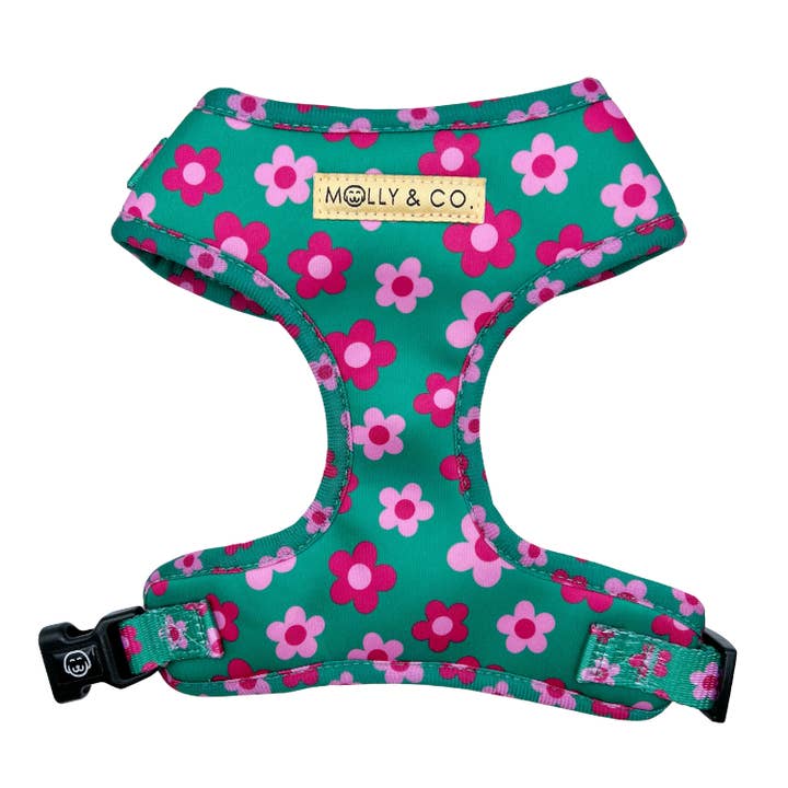 Petunia - Adjustable Dog Harness for wholesale by Molly & Co.