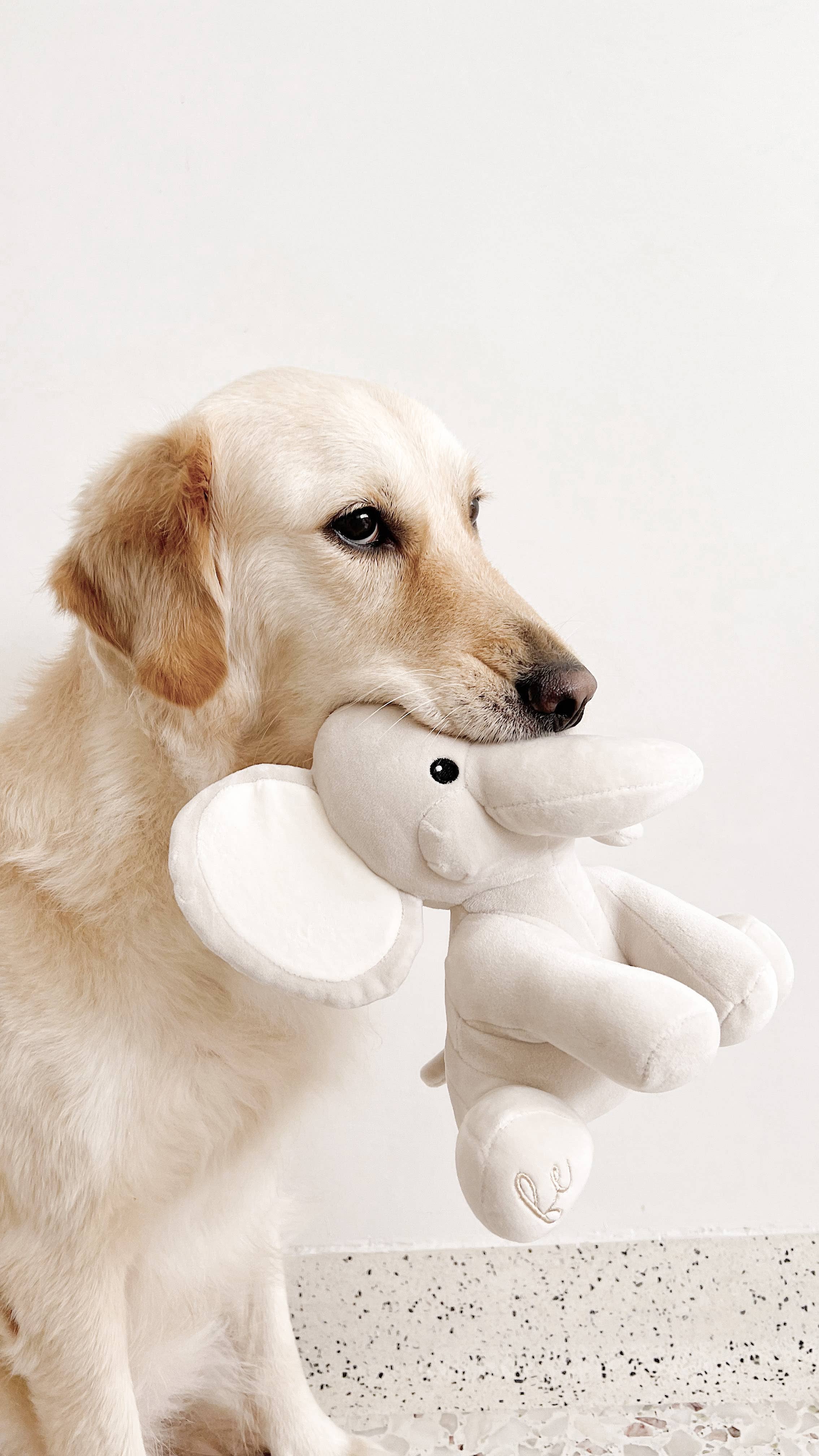 Fur Elise Pets - Wholesale Pet Plush Toy - Dog - Ella Plushie6