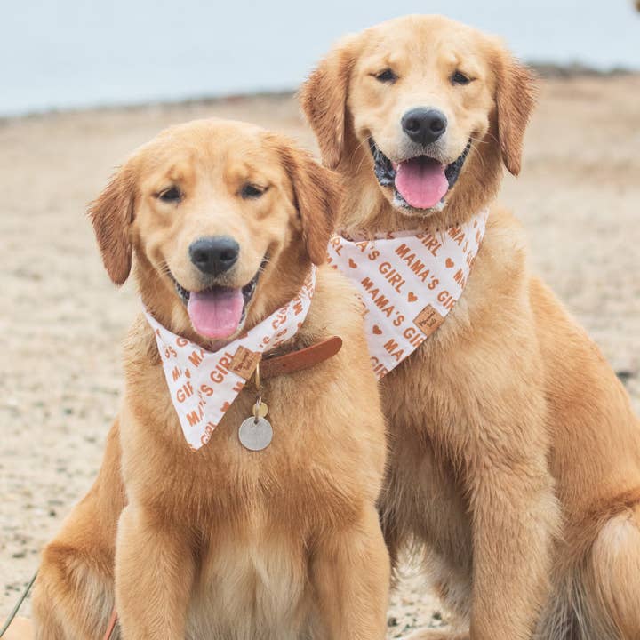 Mama's Girl Bandana for wholesale by Pawsome Tails