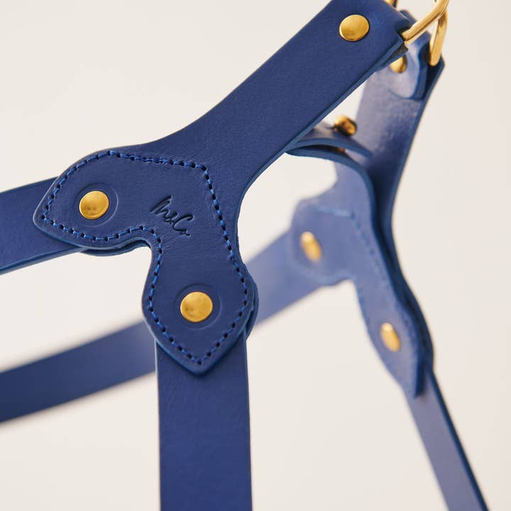 Muso & Co – Großhandel Haustiergeschirr – Hund – Klassisches Geschirr aus pflanzlich gegerbtem Leder43