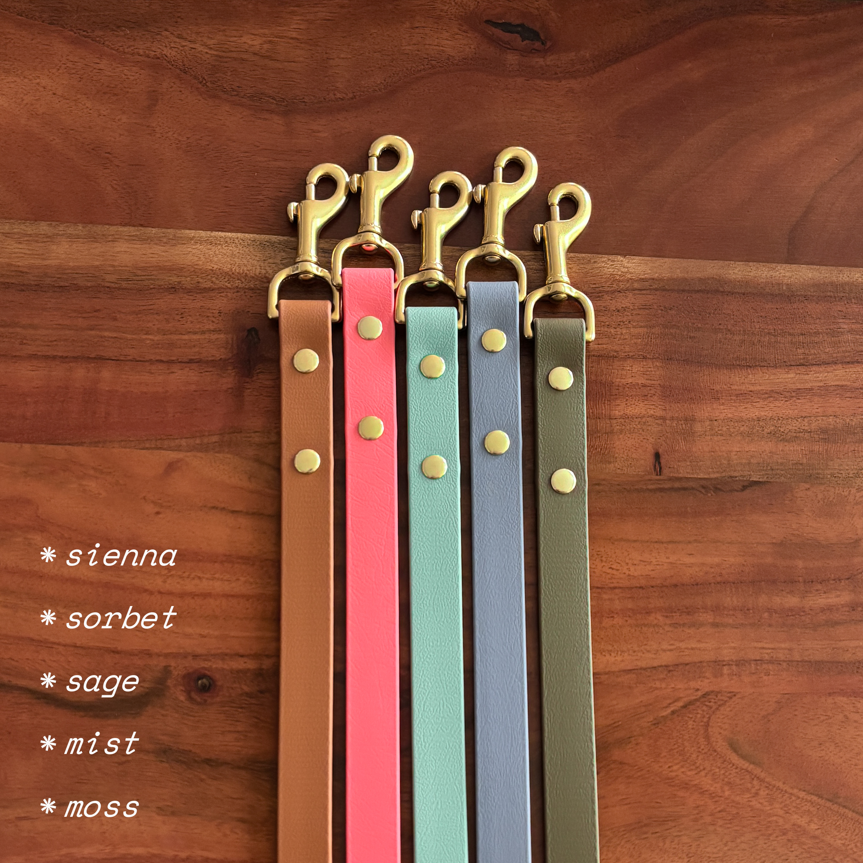 FoxMoth - Venta al por mayor Correa - Perros - Correa para perro moderna e impermeable de Biothane [3/4", más de 17 colores]9