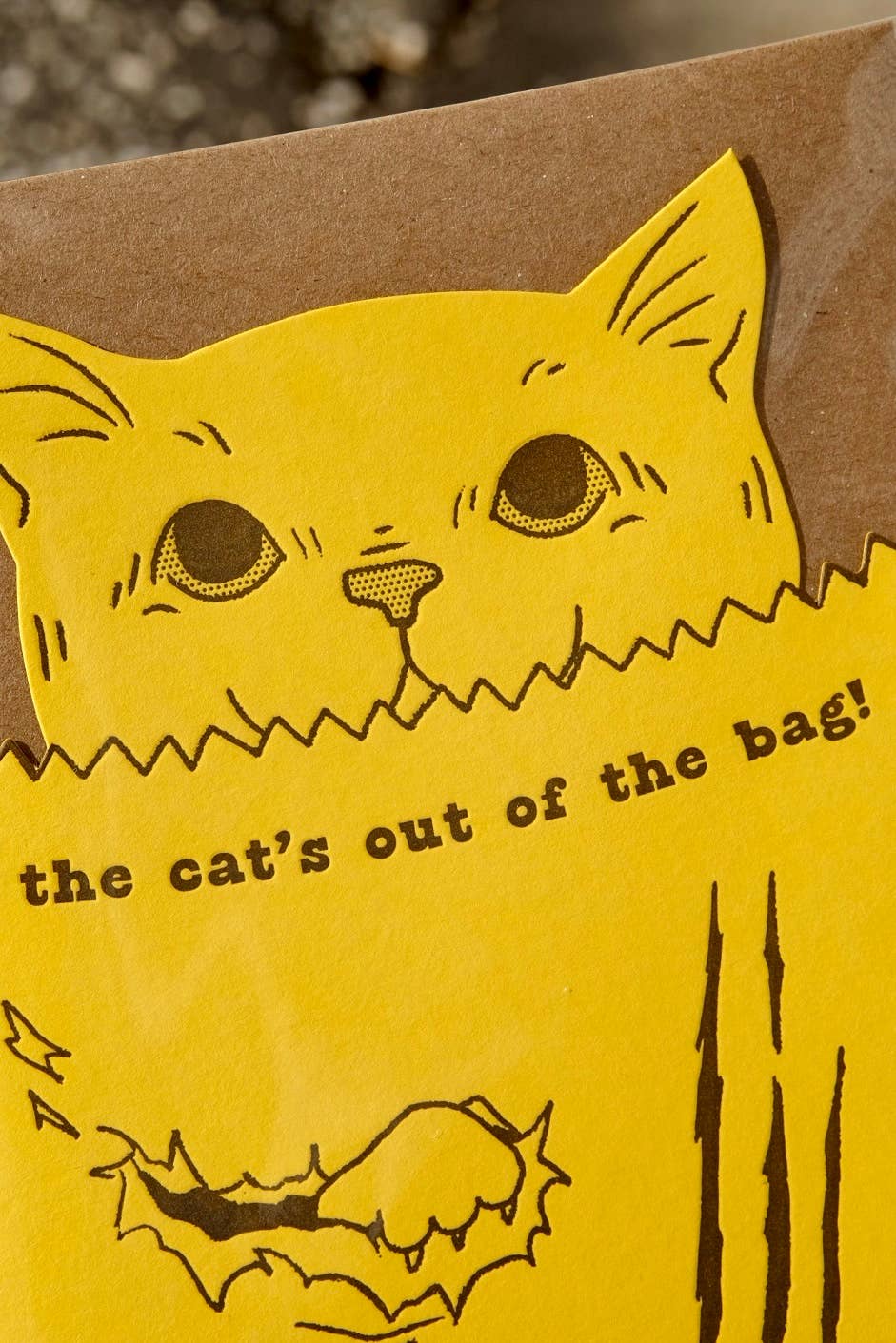 M.C. Pressure - Wholesale Everyday Greeting Card - Cats Out of the Bag Letterpress Greeting Card2