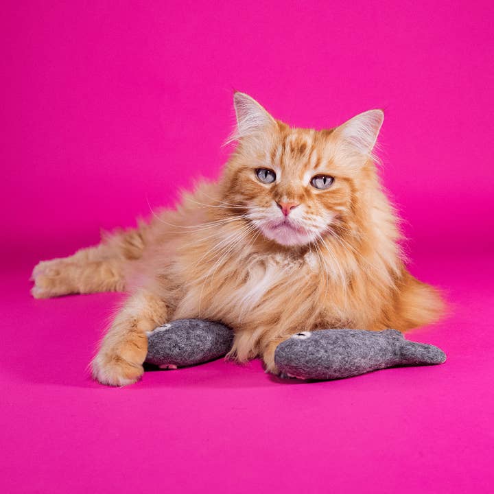 Mimi’s Daughters - Wholesale Pet Toy - Cat - Felix the Fish 15cm - Felt Cat Toy1