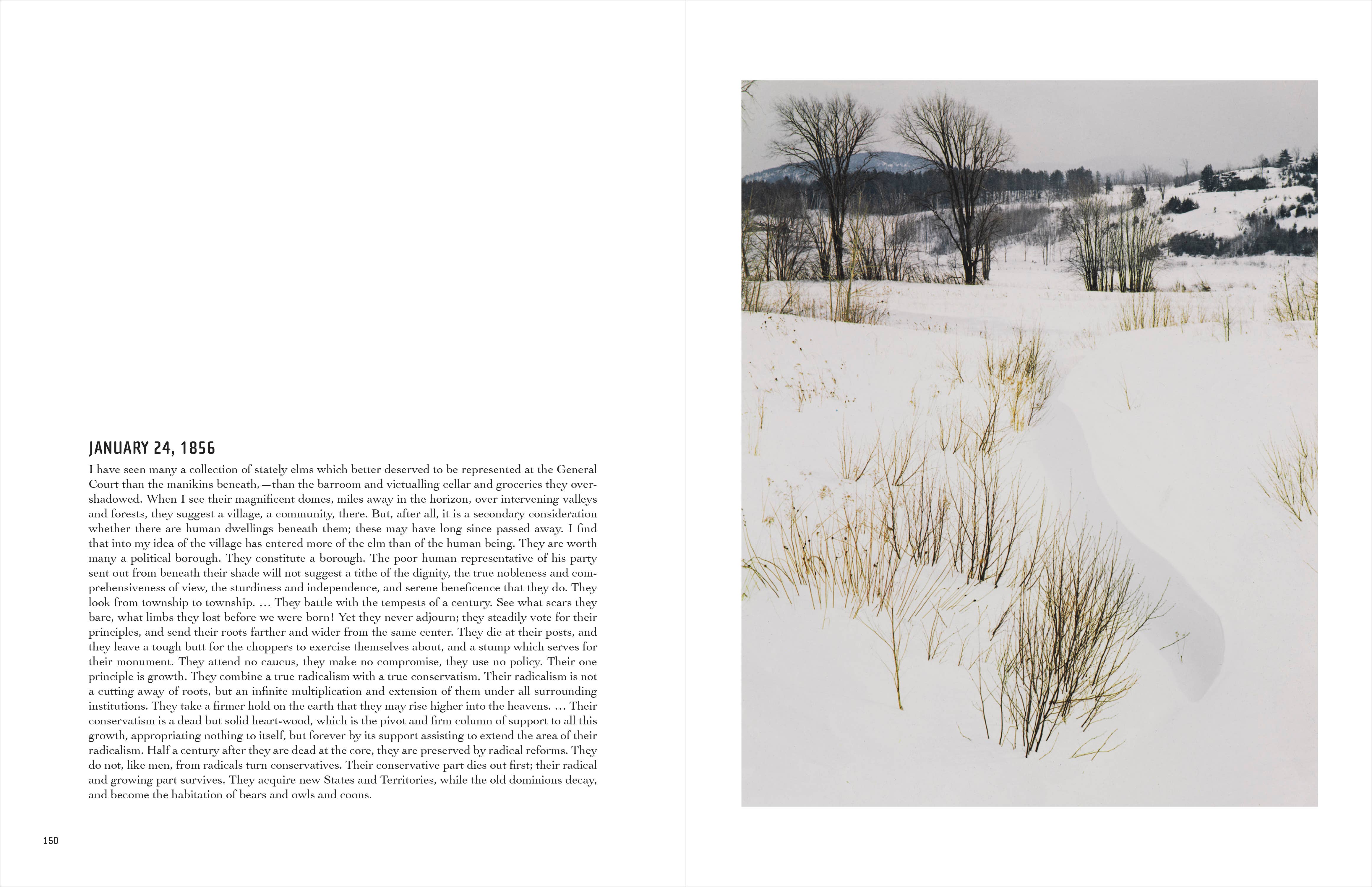 Chronicle Books - Wholesale Display Book - In Wildness4