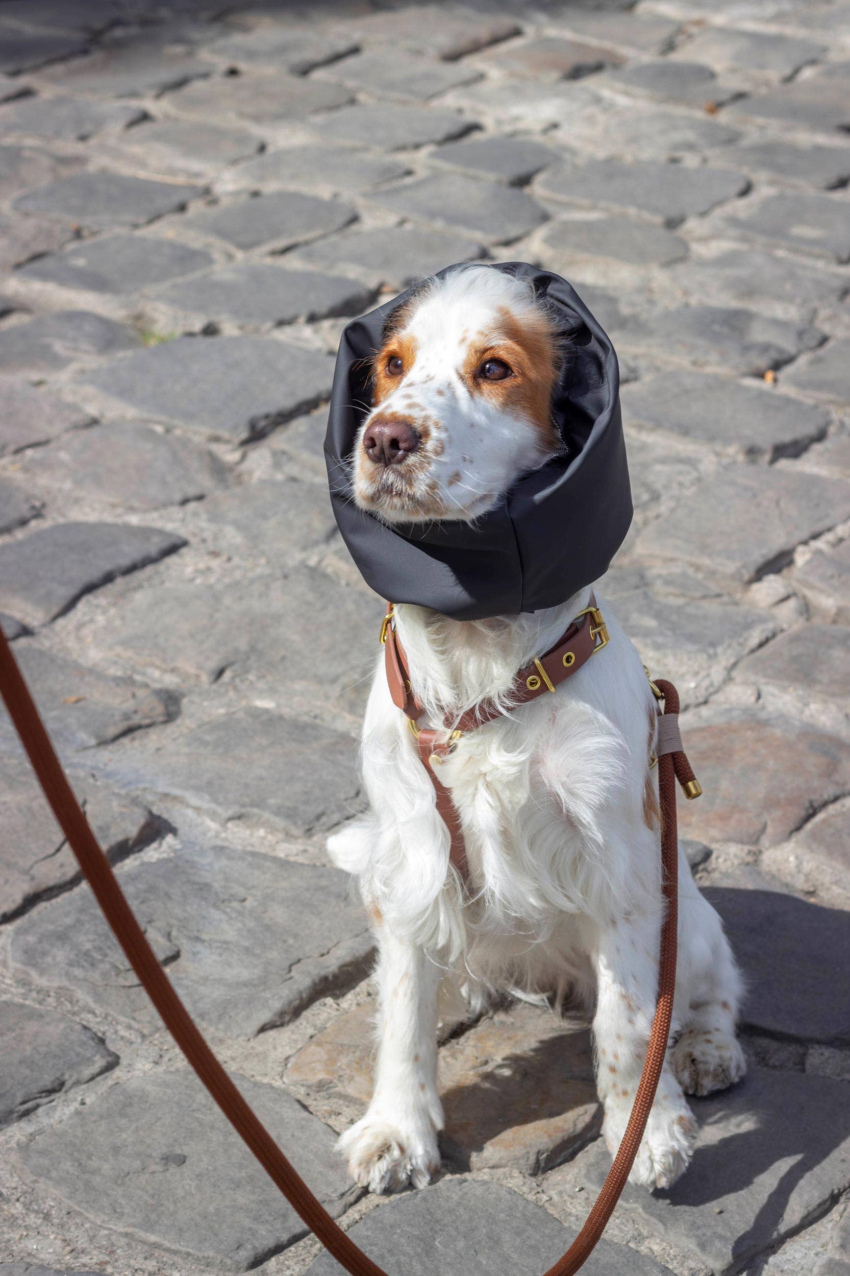 Atelier Markiz - Wholesale Pet Snood - Dog - Waterproof and reversible Oban snood2