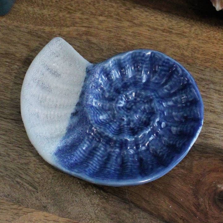 4" Nautilus Shell Ceramic Trinket Plate for wholesale by CB Home Collection
