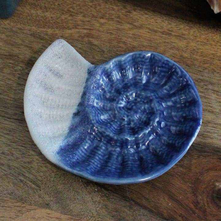 4" Nautilus Shell Ceramic Trinket Plate for wholesale by CB Home Collection