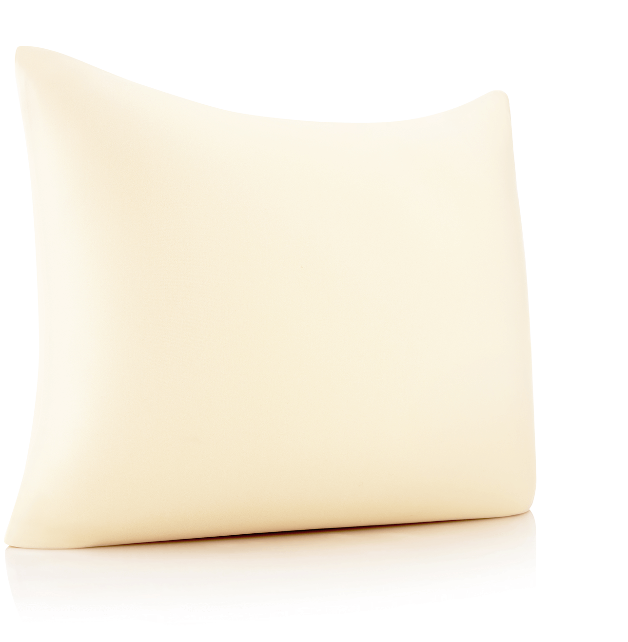 Husband Pillow - Wholesale Throw/Decorative Pillow - 360 - PilSpan-22X22-OffCream12