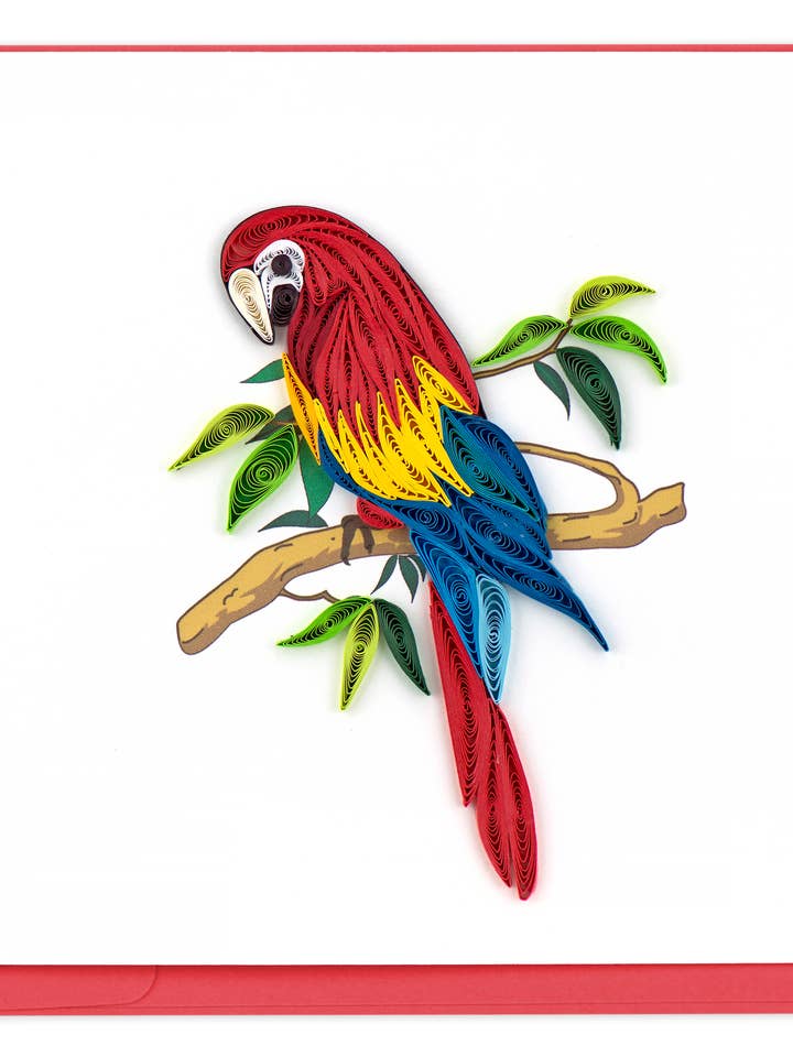 Carte de Vœux Fait Main - Perroquet sur Branche - Quilling pour la vente par Second Nature Ltd
