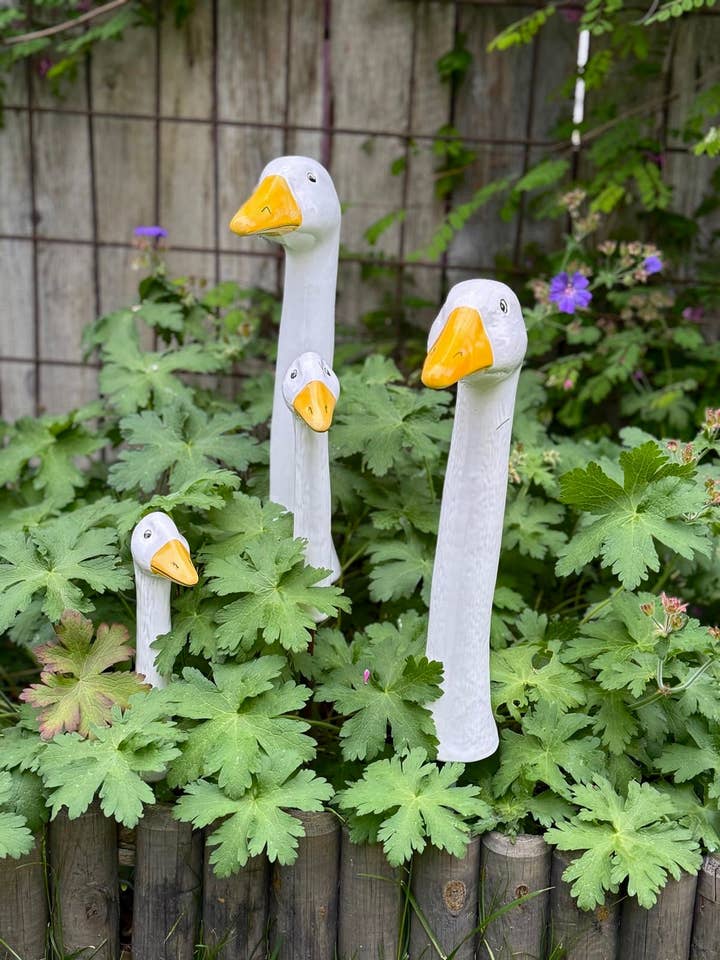 Geese for wholesale by Goose & Company