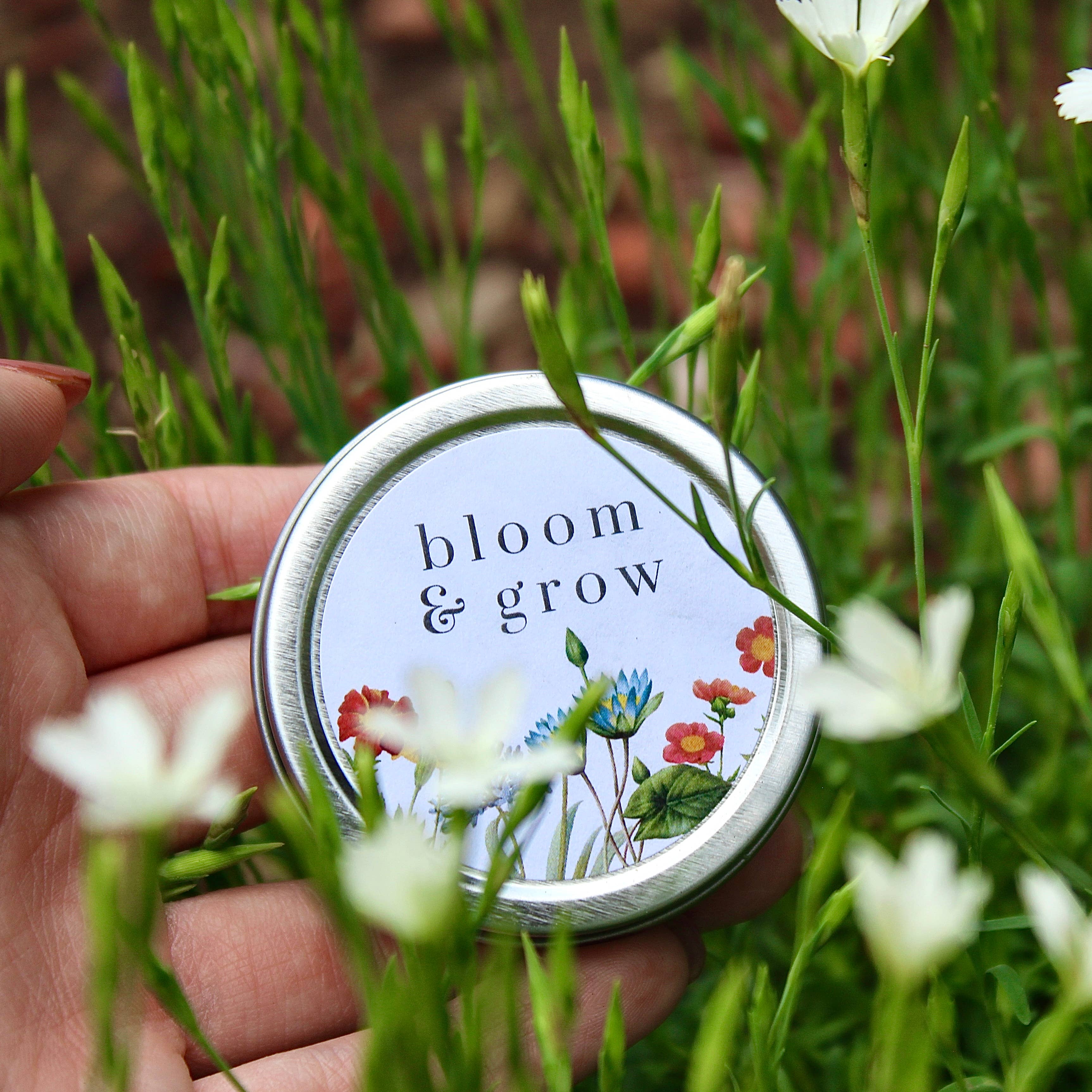 Idea Chic - Wholesale Plant Seeds - Wildflower Seed Tins4