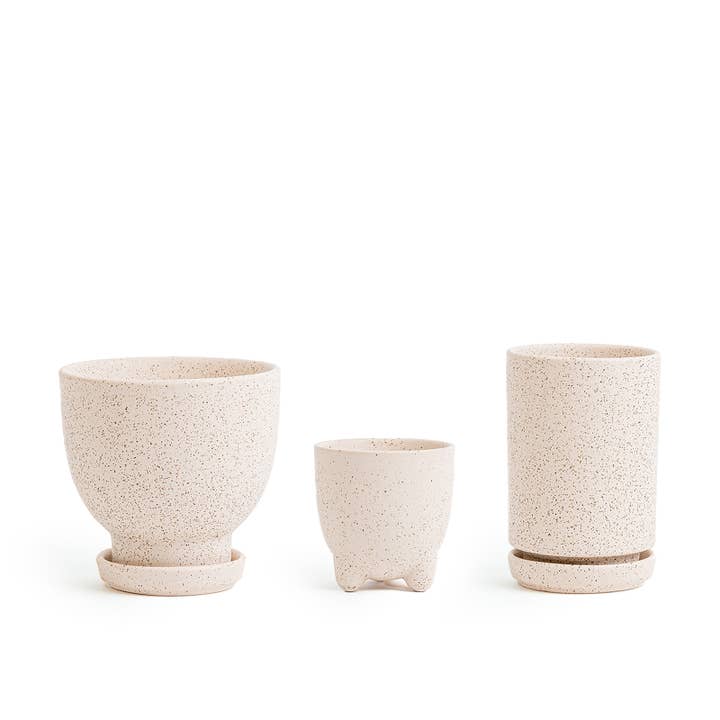 Momma Pots - Wholesale Plant Pot - Plant Junkie Pack - 16 pc/cspk20