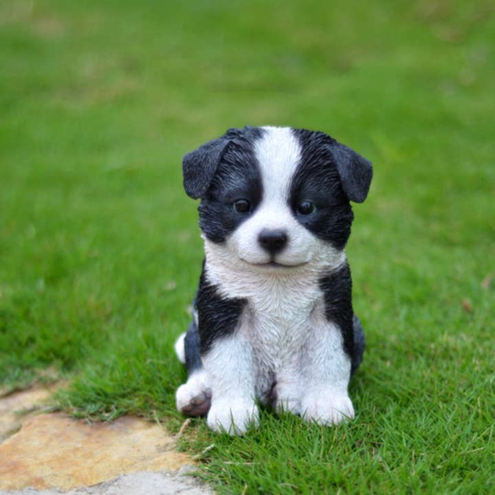 Detailed Sitting Border Collie Puppy Decorative Figurine for wholesale by Hi-Line Gift Ltd.