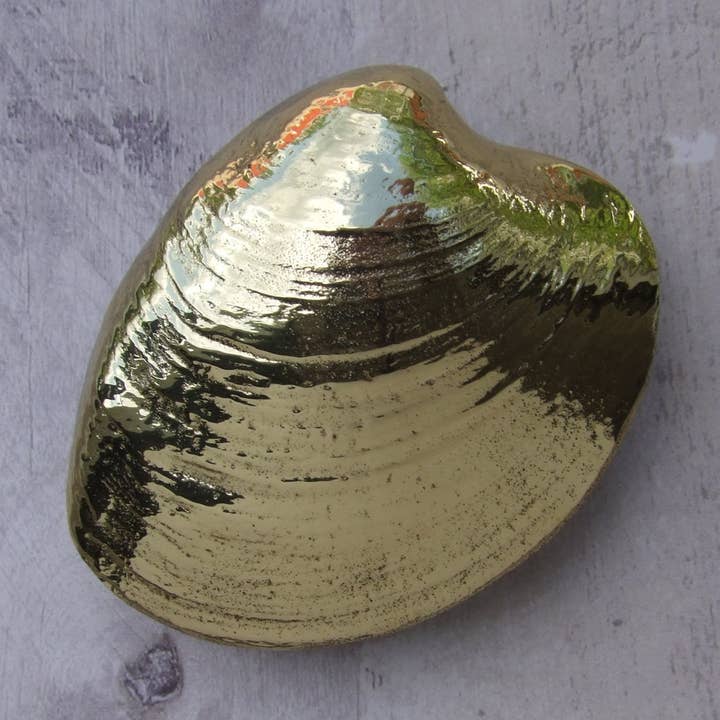 Quahog Türklopfer für den Großhandel von Michael Healy Designs