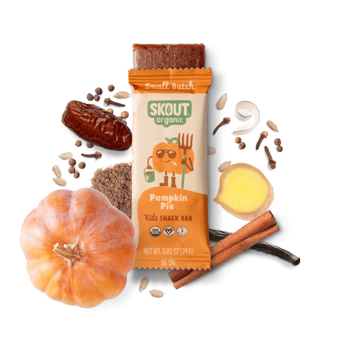 Skout Organic - Wholesale Snack bar - Skout Organic Pumpkin Pie Kids Snack Bar - Seasonal!1