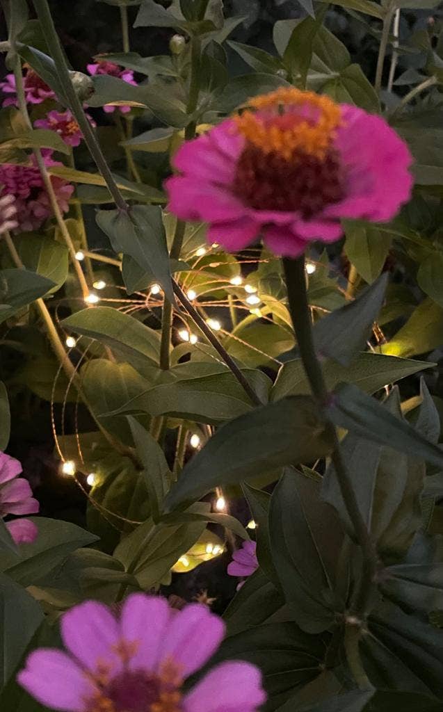 Fiorirà un giardino - Wholesale Outdoor Ornament/Decor - Showerhead 60 LED Solar Energy D50 cm 85 cm2