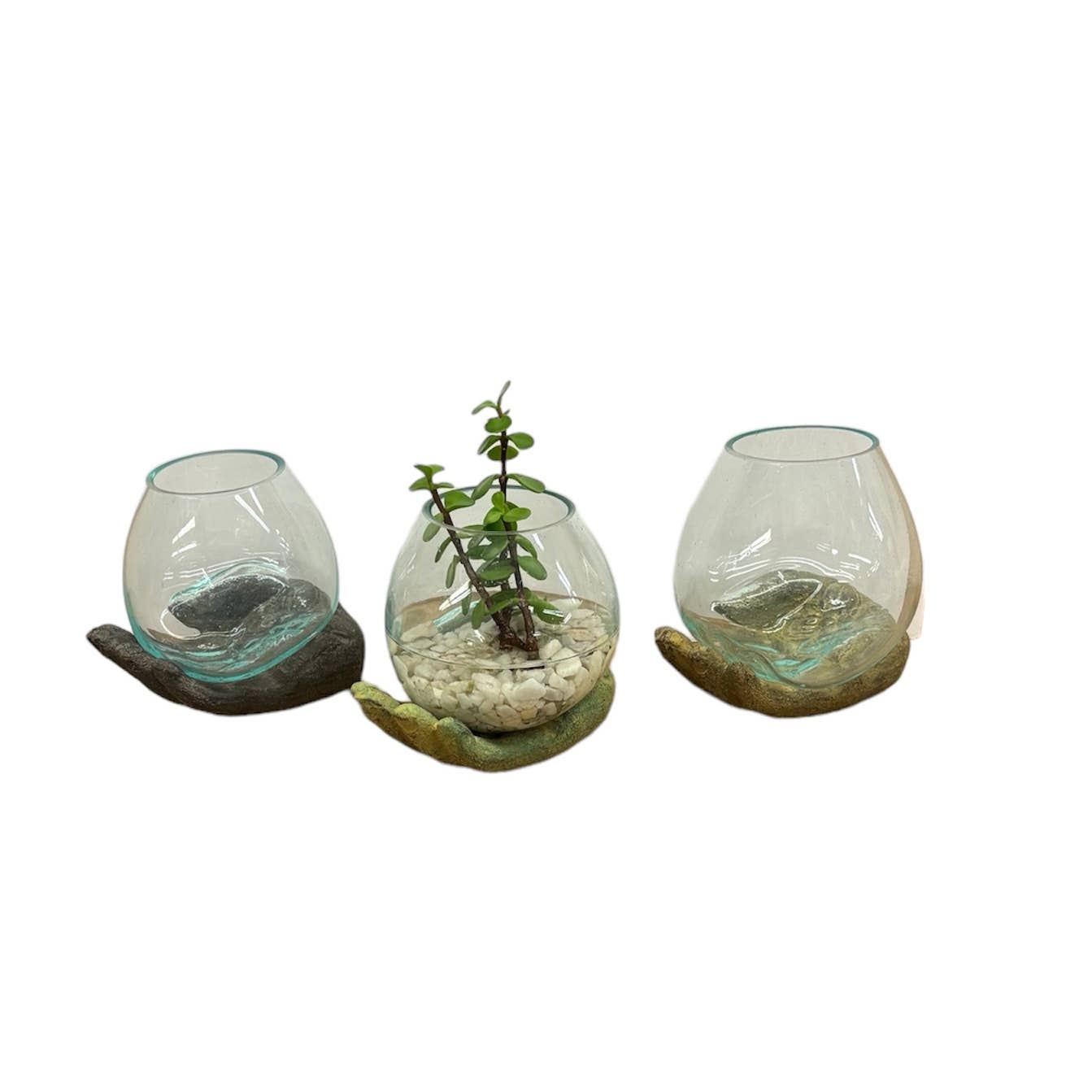 Asia West - Wholesale Decoratief bord/schotel/kom - Glazen terrarium/open hand terrarium/intentiekom1