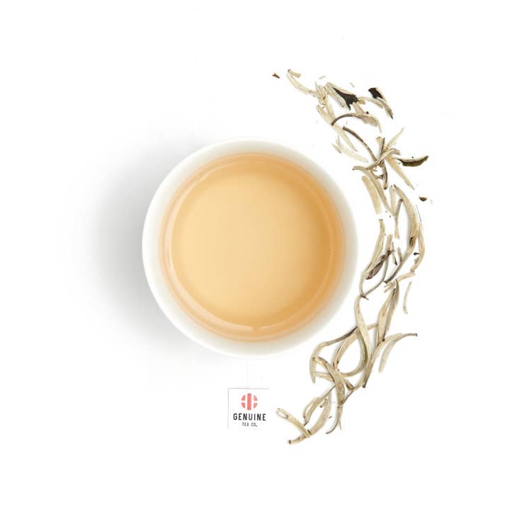 Silver Needle - Thé blanc pour la vente par Genuine Tea