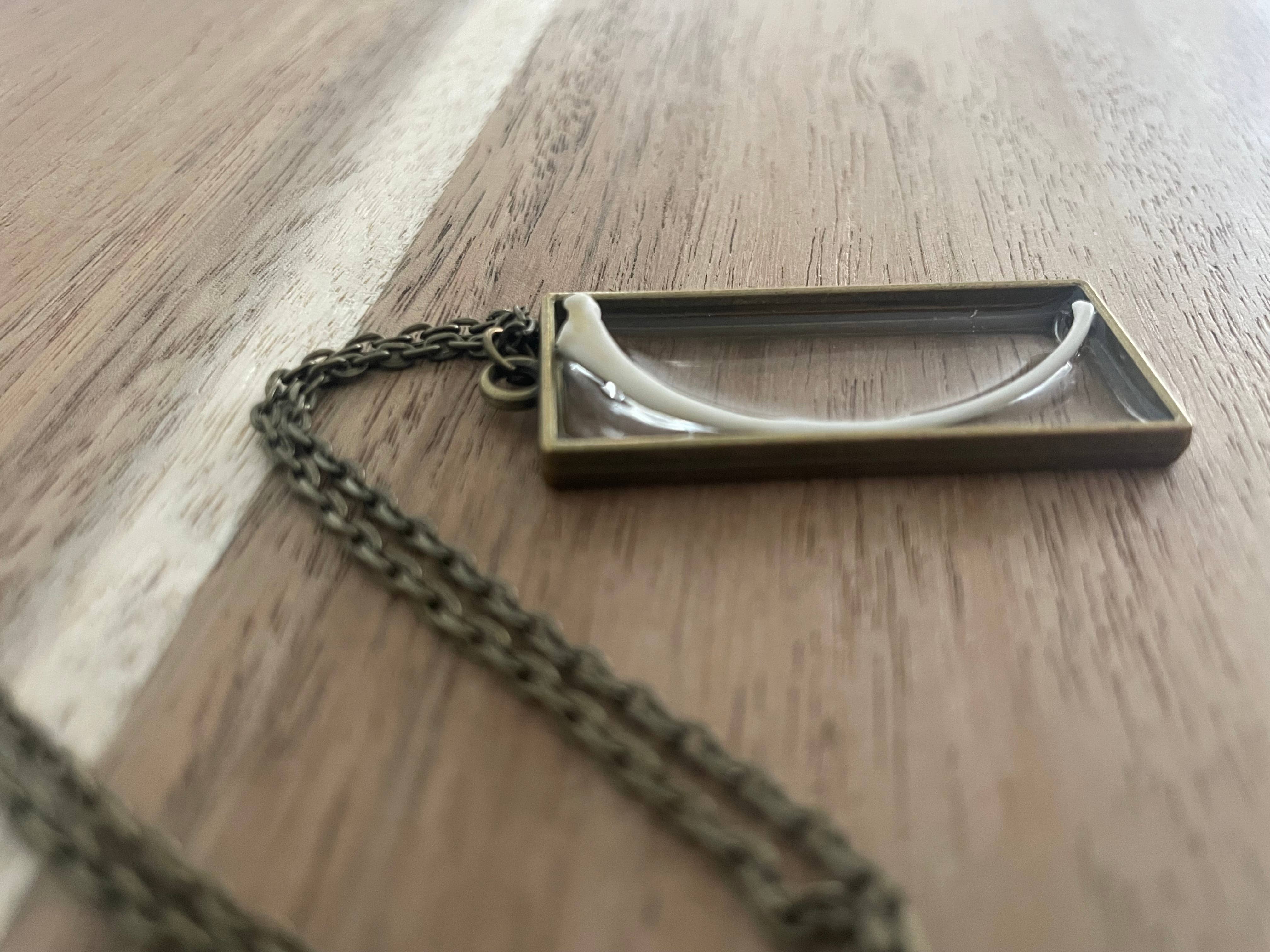 The Wolfshop – wholesale Pendant/charm necklace – Oddity Necklace - Ball Python Rib Bone1