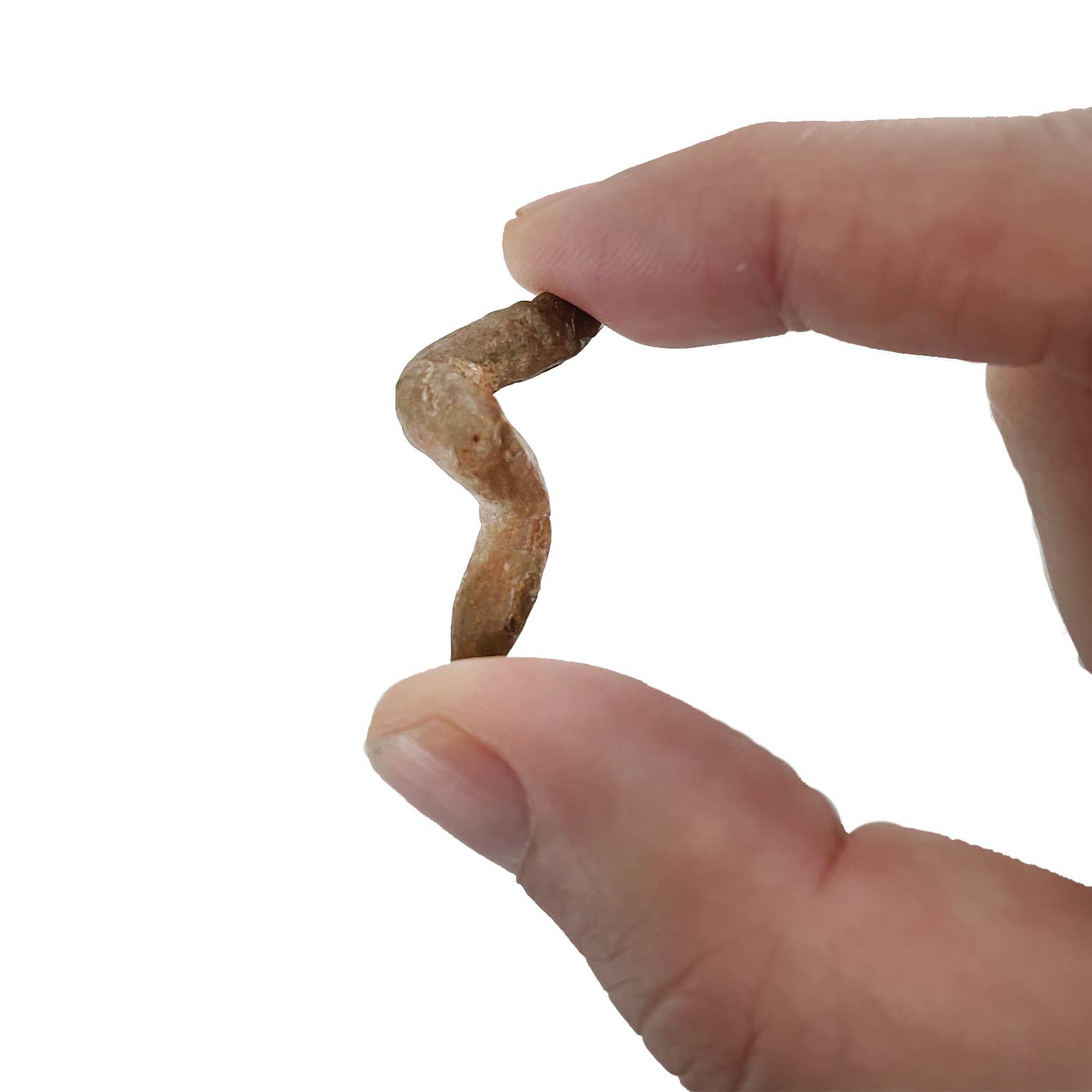 Copernicus Toys - Wholesale Toy Set - Kids - Coprolite Fossil |
Compact Curiosities Coprolite Fossil
1